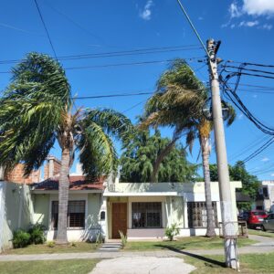 Ozanam 1294 - Moron Sur - Casa Lote Propio 4 Amb C/amplio Parque, Cochera Desc P/varios Autos Y Cuarto De Guardado